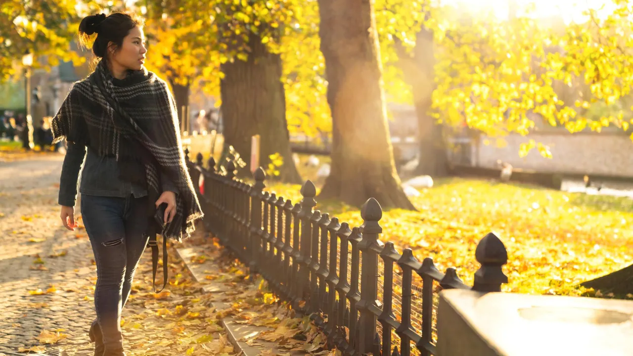 Camminare senza musica, Silent Walk